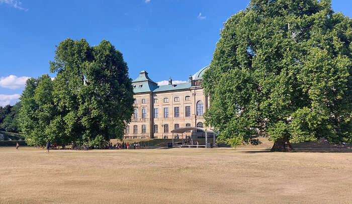 Ausgetrocknete Wiese und zwei große Bäume vor einem Haus. Ausgetrocknete Wiese und zwei große Bäume vor einem Haus.