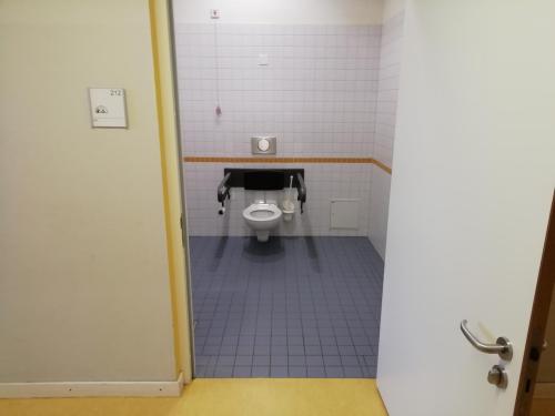 Rollstuhl-WC (Hauptgebäude - 2. OG)