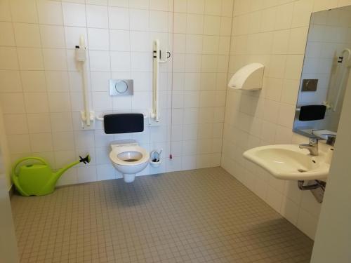 Rollstuhl-WC (Neubau - EG)