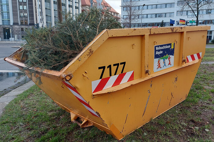 Weihnachts-Baum-Container