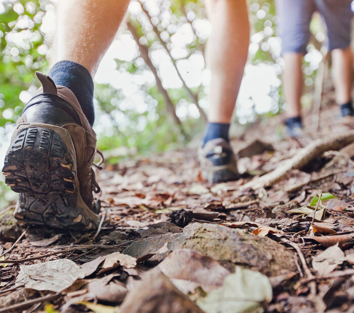 Menschen wandern durch den Wald, Nahaufnahme von Schuhen im Laub