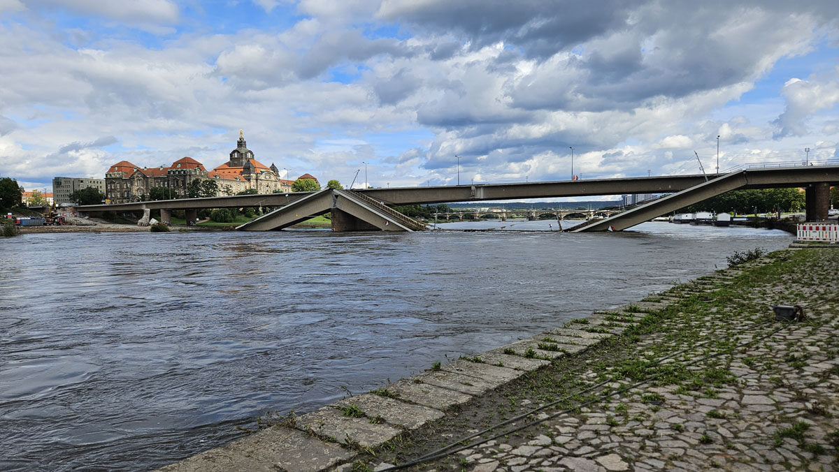 2024_09_25 Carolabrücke halber Brückenzug C_Diana Petters (2).jpg