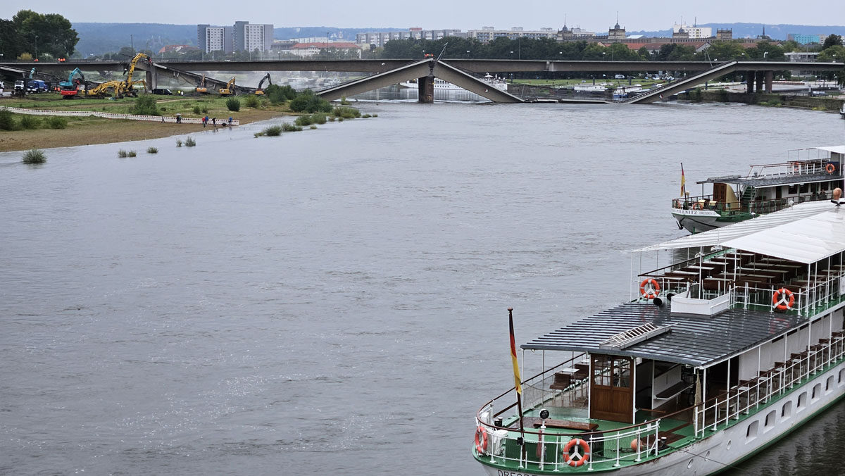 Elbdampfer und Blick auf die Brücke