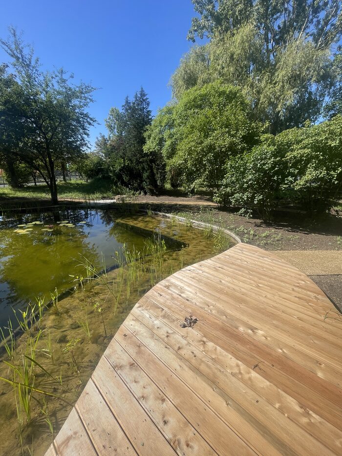 Projekt Kultur.Garten Gymnasium Gorbitz