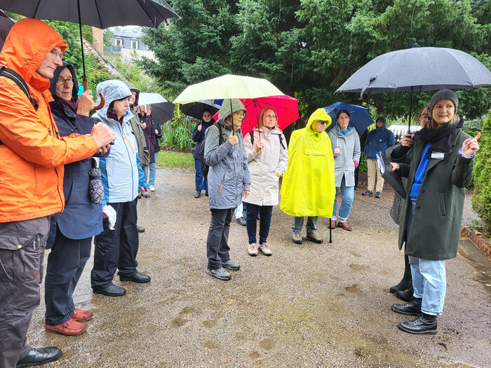 Menschen stehen mit Regenschirmen auf dem Friedhof und hören die Erläuterungen von Frau Müller und Frau Seitz.