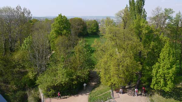 Alter Bienertpark