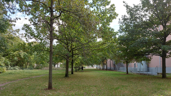 Park an der Haydnstraße