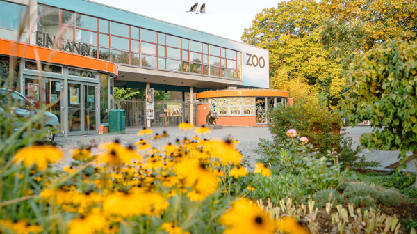 Zoo Dresden