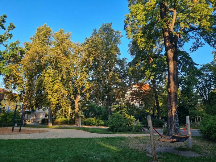 Volkspark Briesnitz: Blick zur Allee mit Kastanien an der Calesthenics-Anlage mit Hängematte (Sommer 2024)