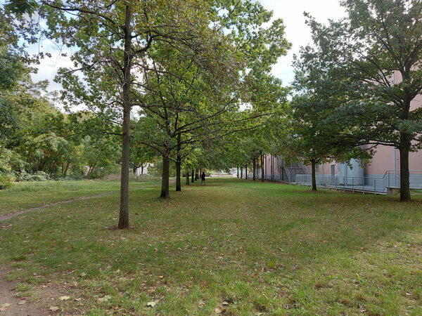 Wiese mit Baumbestand, im Hintergrund das Gebäude von Kaufland