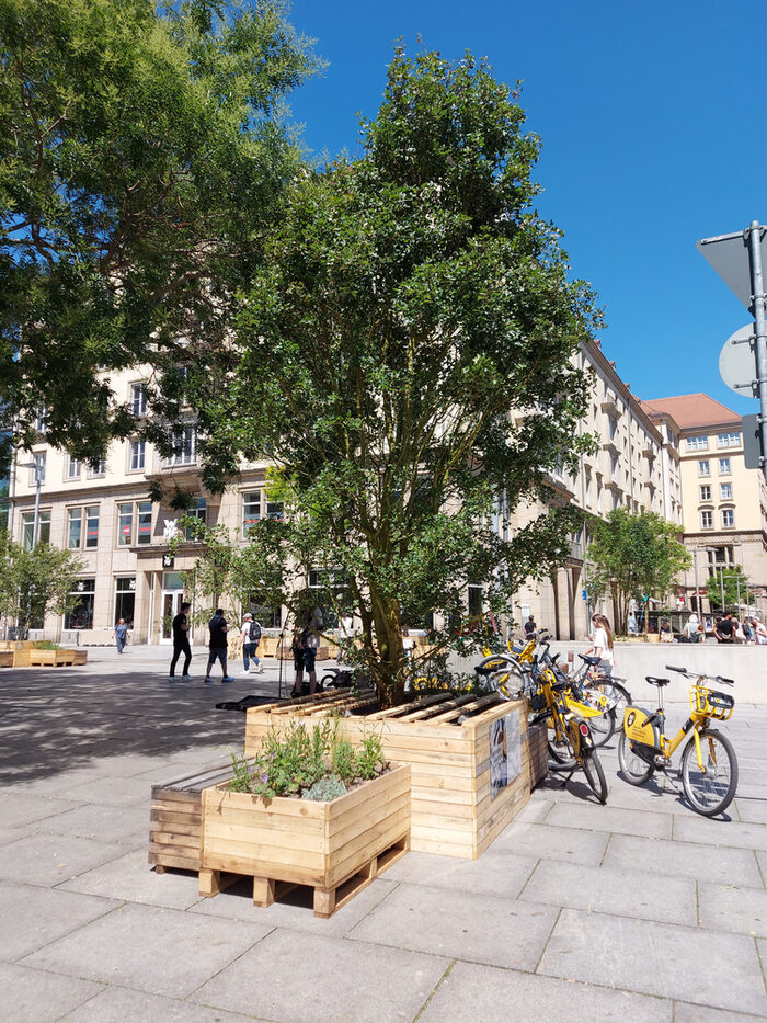 Verkehrsversuch "Lebendige Seestraße" (Juli 2024) mit temporär aufgestellten Bäumen und Sitzmöbeln aus Holz. Nebenan Platz für Aufenthalt im Schatten und zum Abstellen von Fahrrädern.