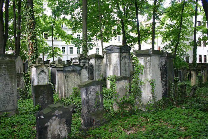 Der Alte Jüdische Friedhof Dresden mit den verwitterten Grabsteinen und Baumbestand