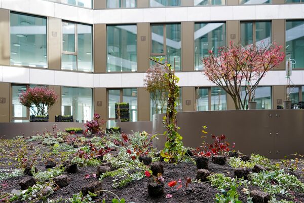 Das Bild zeigt eine Dachterrasse mit einer Vielzahl von Pflanzen und Bäumen. Im Hintergrund sieht man ein modernes Bürogebäude aus Glas und Stahl. Die Pflanzen sind neu gepflanzt und befinden sich in kleinen Töpfen. Die Terrasse ist mit einer braunen Mauer begrenzt.