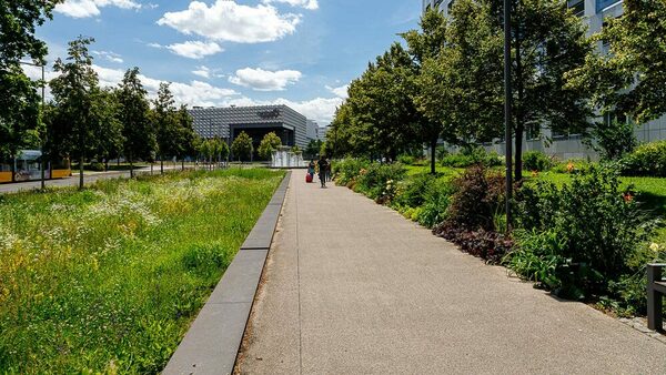 westlicher Promenadenring in Richtung Centrum Galerie