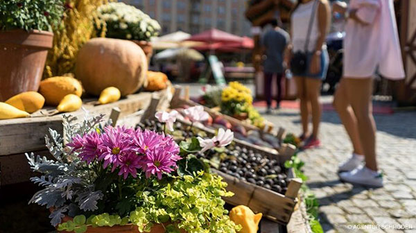 600x336-herbstmarkt.jpg