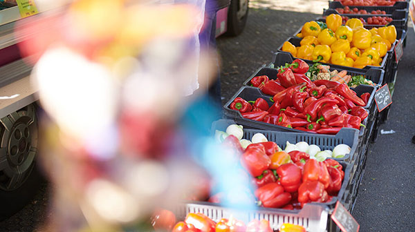 600x336-wochenmarkt.jpg