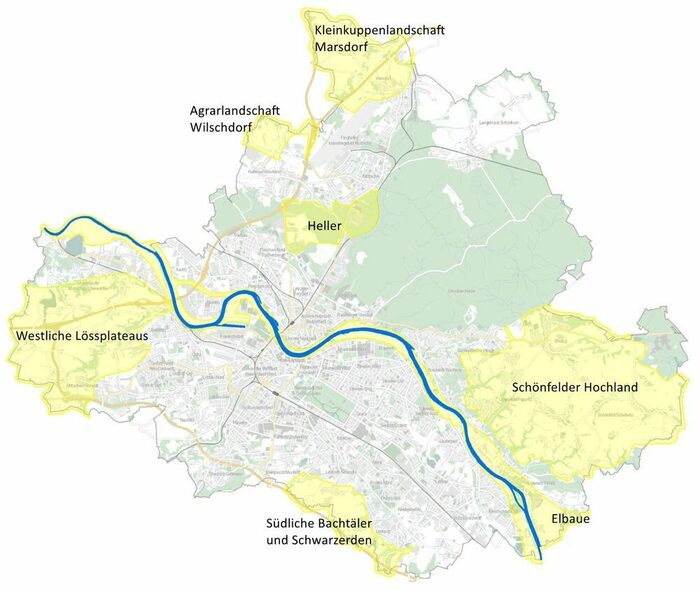Eine Kartendarstellung des Stadtgebietes von Dresden mit den in gelb gehaltenen Flächen der sieben Schwerpunktgebiete.
