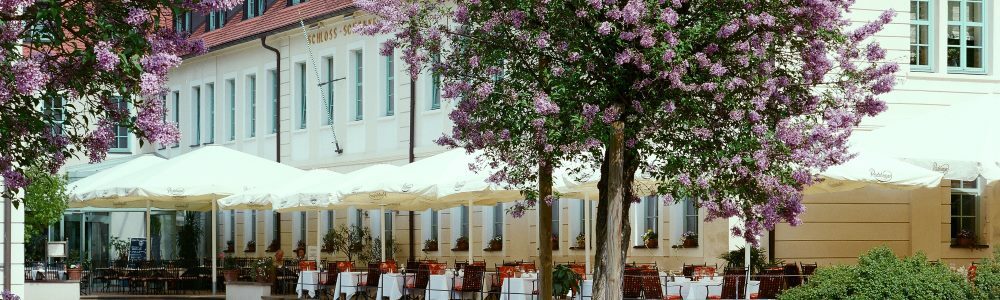 Außenaufnahme des Hotels mit Terrasse und Sitzgelegenheiten. Daneben stehen blühende Bäume.